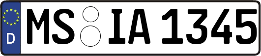 MS-IA1345