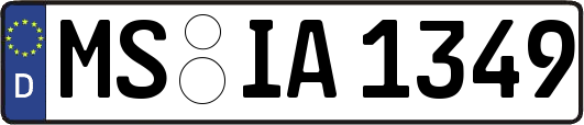 MS-IA1349