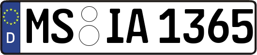 MS-IA1365