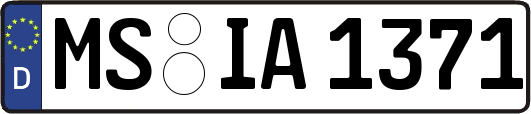 MS-IA1371