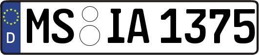 MS-IA1375
