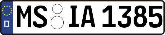 MS-IA1385