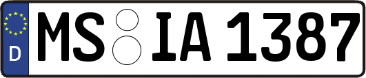 MS-IA1387