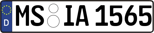 MS-IA1565