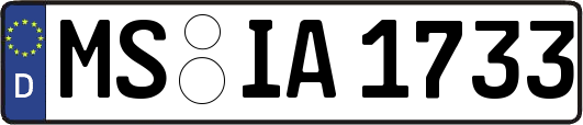 MS-IA1733