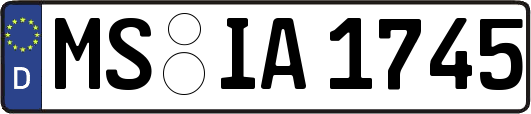 MS-IA1745