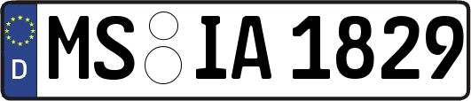 MS-IA1829