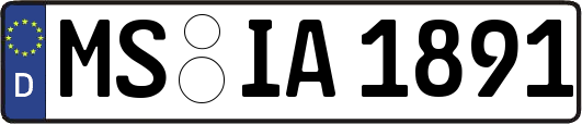 MS-IA1891