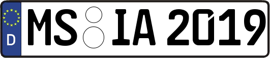 MS-IA2019