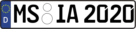 MS-IA2020