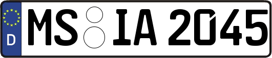 MS-IA2045