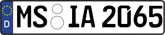 MS-IA2065