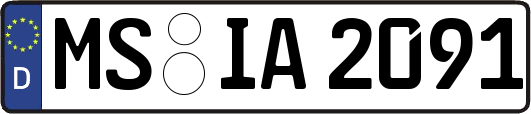 MS-IA2091