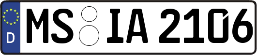 MS-IA2106