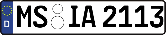 MS-IA2113