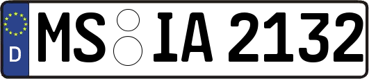 MS-IA2132