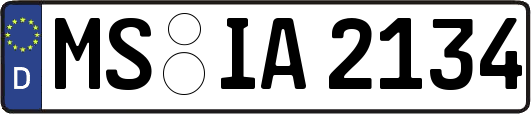 MS-IA2134