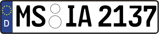 MS-IA2137