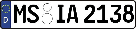 MS-IA2138