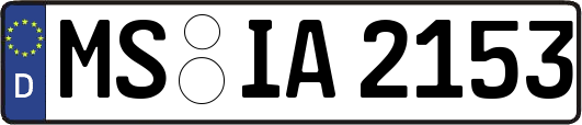 MS-IA2153
