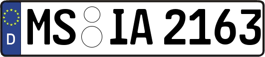 MS-IA2163