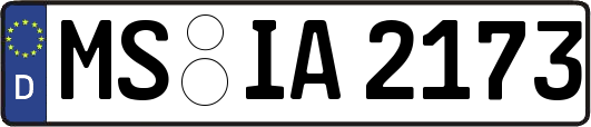 MS-IA2173
