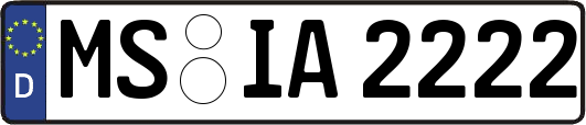 MS-IA2222