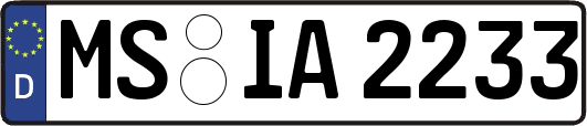 MS-IA2233