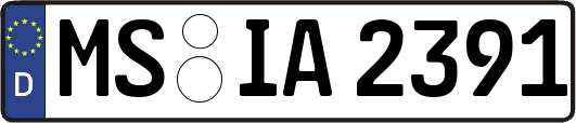 MS-IA2391