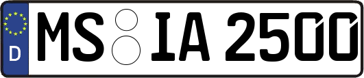 MS-IA2500