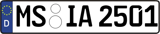 MS-IA2501
