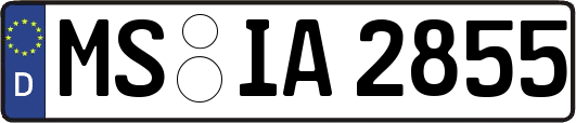 MS-IA2855
