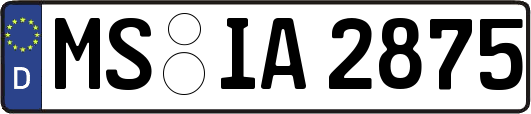 MS-IA2875