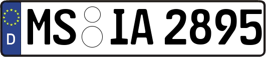 MS-IA2895