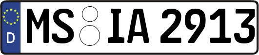 MS-IA2913