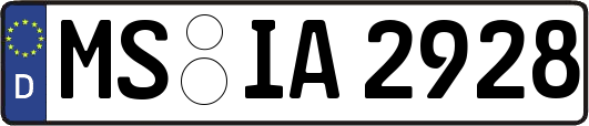 MS-IA2928