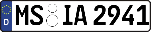 MS-IA2941