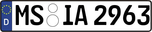 MS-IA2963