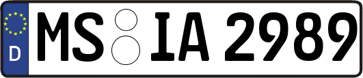 MS-IA2989