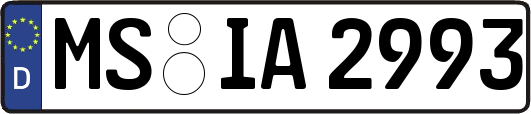 MS-IA2993