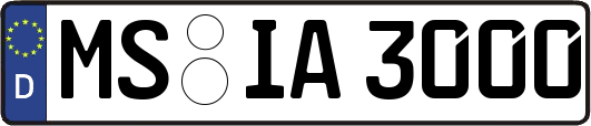 MS-IA3000