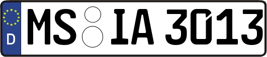 MS-IA3013
