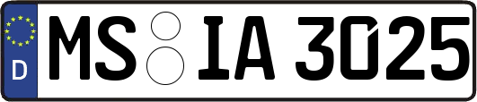 MS-IA3025
