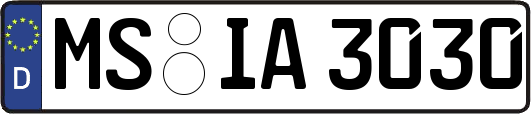 MS-IA3030