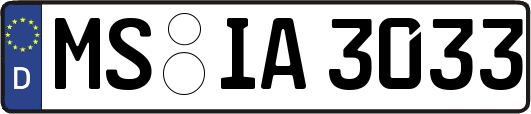 MS-IA3033