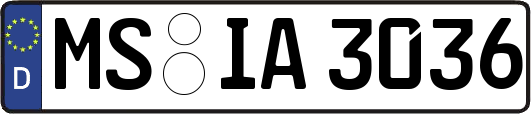 MS-IA3036