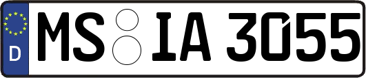 MS-IA3055