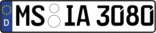 MS-IA3080