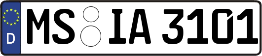 MS-IA3101