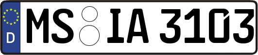 MS-IA3103